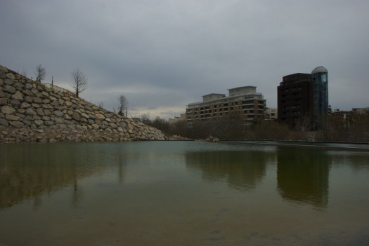Parc de l'Hôtel de Ville, Montpellier (4 mars 2012)