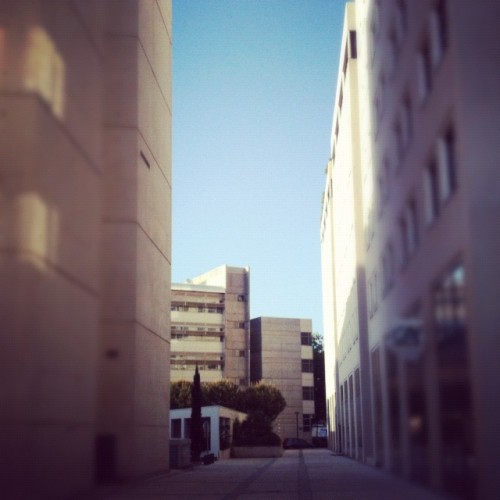 Follow the blue sky, Montpellier (26 avril 2012)