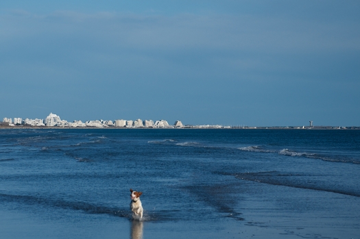 La plage du Petit Travers, Carnon (3 février 2014)